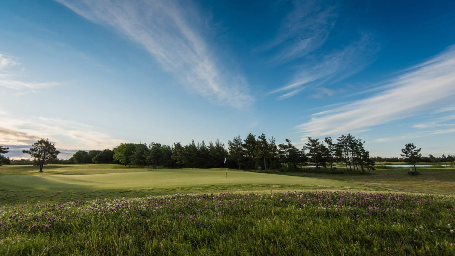 Saare Golf Course, Estonia