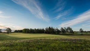 Saare Golf Course, Estonia