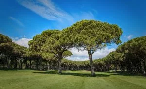 Platja de Pals Golf, Costa Brava, Spain