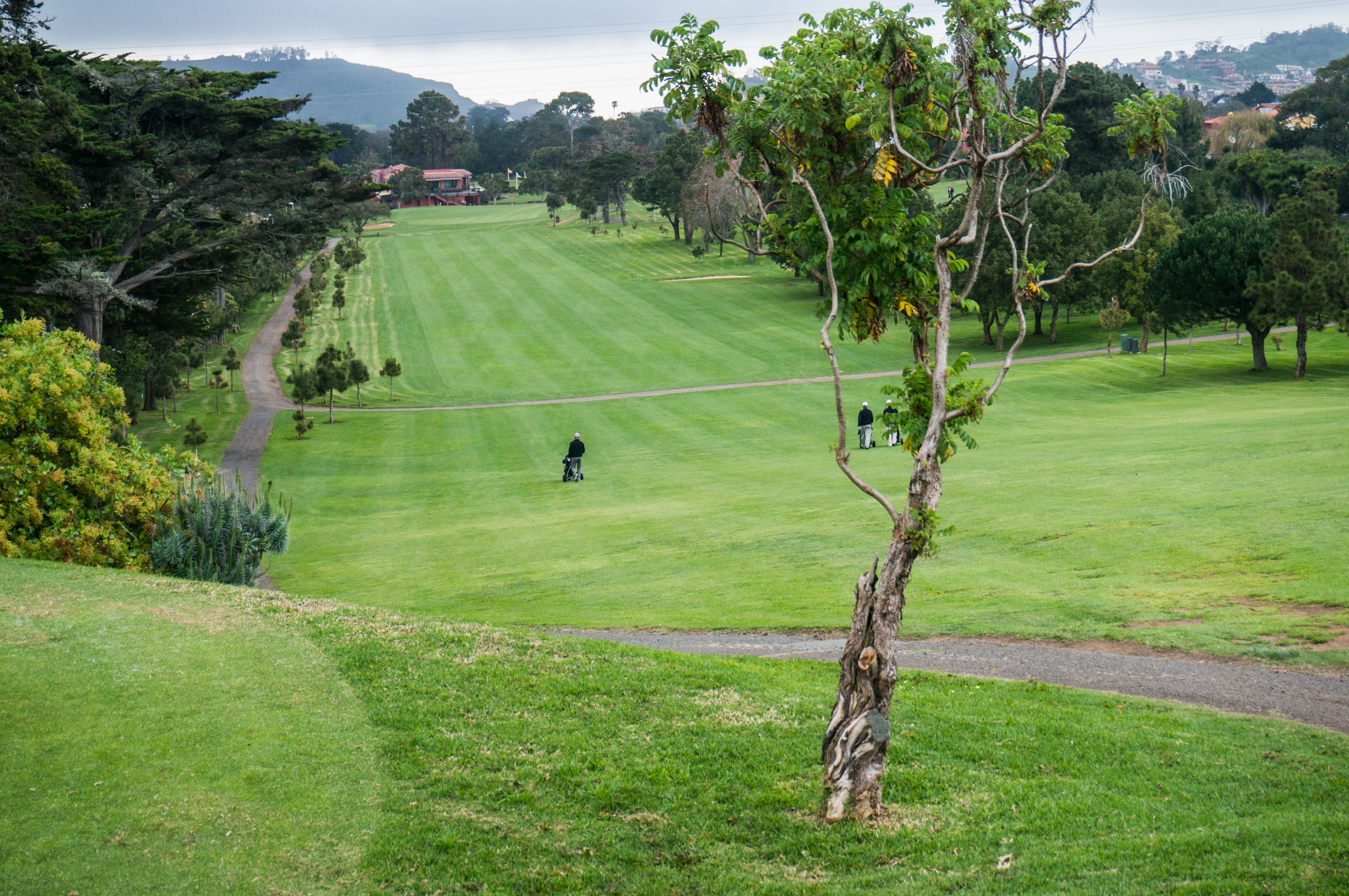 Real Club de Golf, Tenerife, Spain