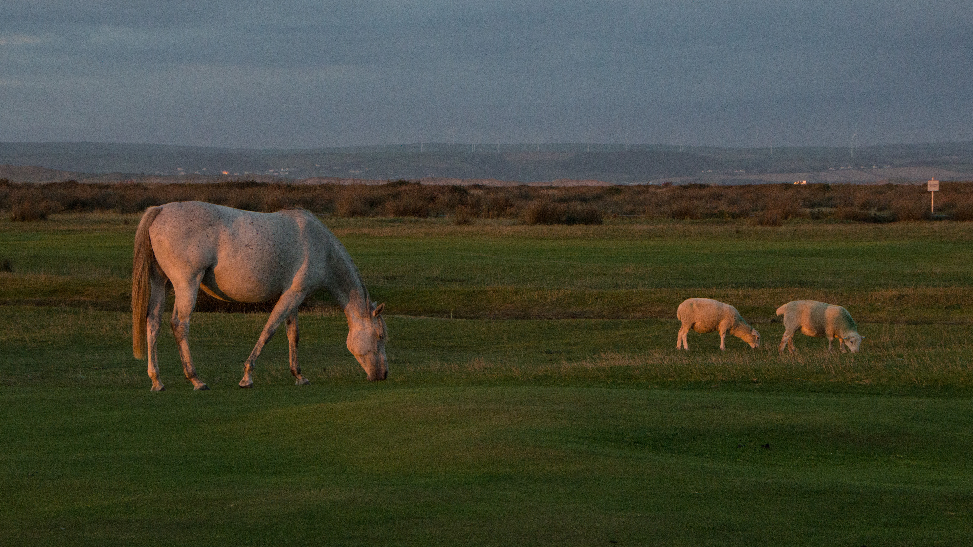 Royal North Devon Golf Club, England